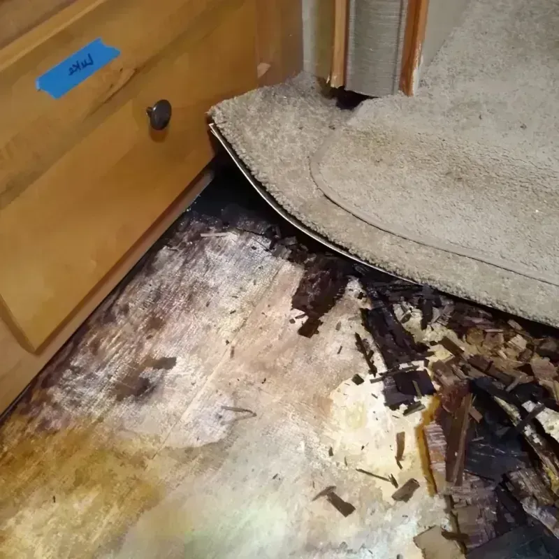 Wood Floor Water Damage in Pistakee Highlands, IL